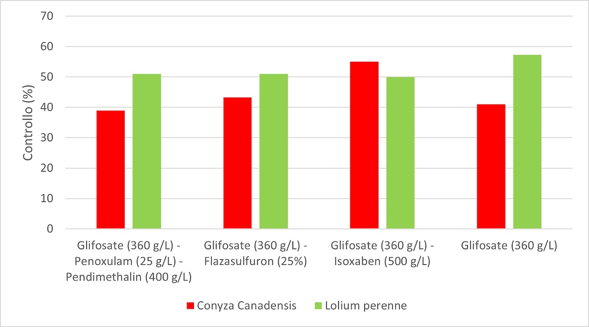 Grafico 2: Controllo di Erigeron canadensis e Lolium perenne a quattordici giorni dal trattamento erbicida